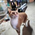Photo of Atari