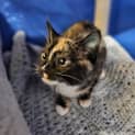 Photo of Hazel