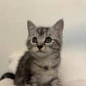 Photo of Luna