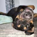 Photo of Gabbie
