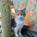 Photo of Buffy