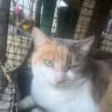 Photo of Buffy