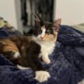 Photo of Ivy