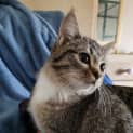 Photo of Maurice