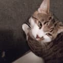 Photo of Nigel