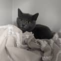 Photo of Hugo