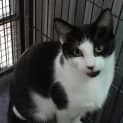Photo of Tabitha