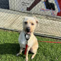 Photo of Blue