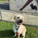 Photo of Blue