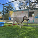 Photo of Blue