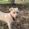Photo of Blue
