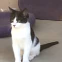Photo of Nigel