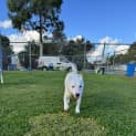 Photo of Lucky