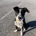 Photo of Chuck