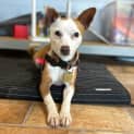 Photo of Mitzi