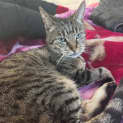 Photo of Lola (Senior Girl)