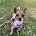 Photo of Amelie