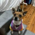 Photo of Amelie