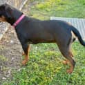 Photo of Hilda