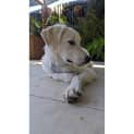 Photo of Kannika