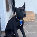 Photo of Midnight