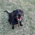 Photo of Max
