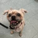 Photo of Teddy