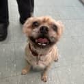 Photo of Teddy