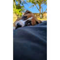 Photo of Cleo