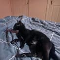 Photo of Jiji