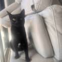 Photo of Jiji