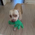Photo of Minnie