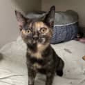 Photo of Storm