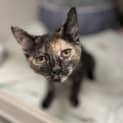 Photo of Storm