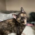 Photo of Storm
