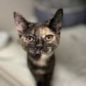 Photo of Storm