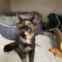Photo of Storm