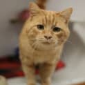 Photo of Leo