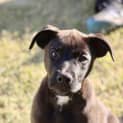 Photo of Harley