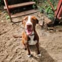 Photo of Charlie Brown
