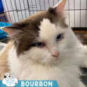 Photo of Bourbon