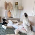 Photo of Sultana