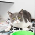 Photo of Robert Catterson