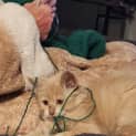 Photo of Taco