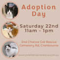 Photo of Winnifred **2nd Chance Cat Rescue**