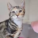 Photo of Penelope