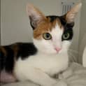 Photo of Isabella