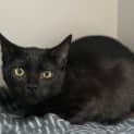 Photo of Salsa