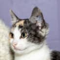Photo of Kate