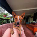 Photo of Marley